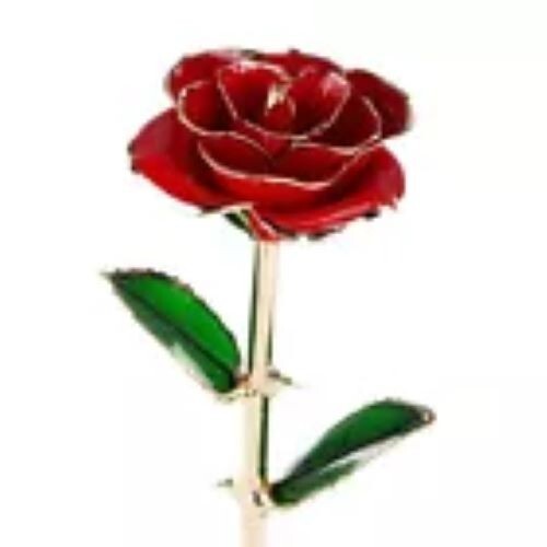 Great Easter Gift: Gold Plated Real Rose Birthday Gift with Box gallery