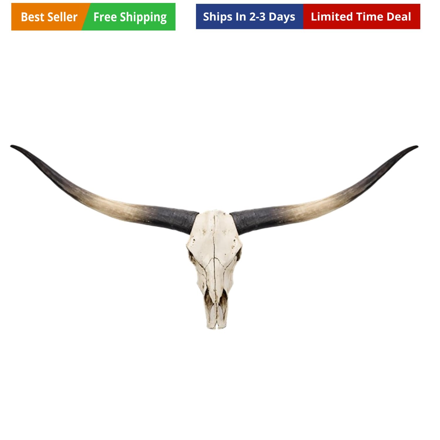 Longhorn Wall Decor, Cow Skull Wall Decor, 70-Inch Longhorn Skull Wall Sculpt... gallery