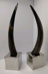 Set Of Natural Polished Horn Sculpture On A Stainless Steel Base.