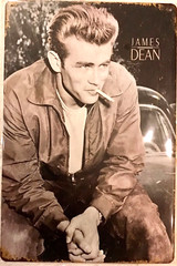 TIN SIGN new 8×12 James Dean Hollywood movie star celebrity famous actor cool C1