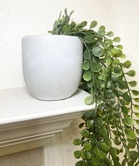 Small Artificial Trailing Button Fern