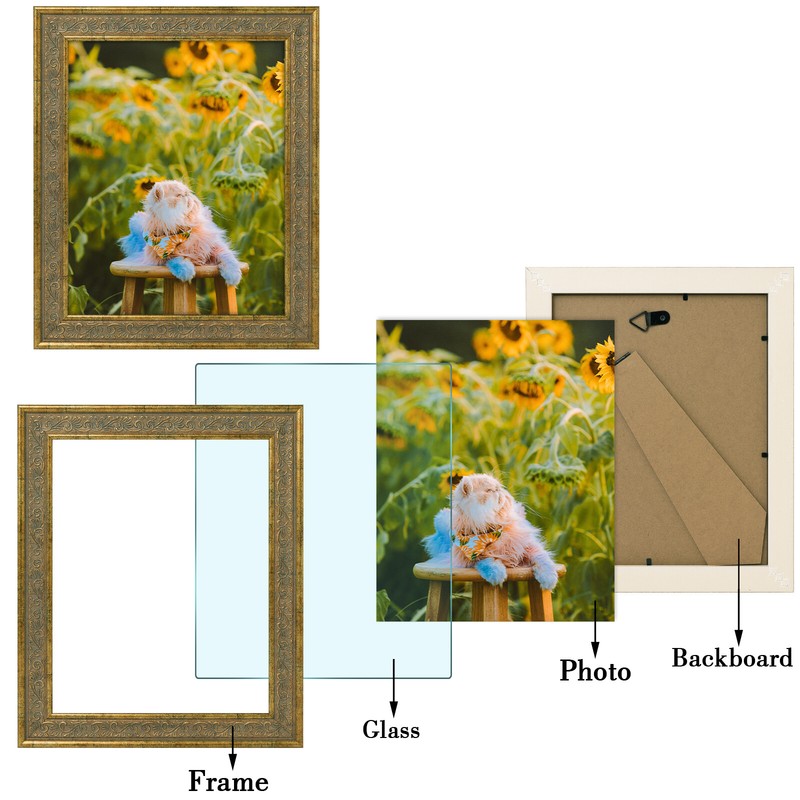 8x10 11x14 Ornate Photo Frame for Picture Poster Real Glass Vertical Horizontal gallery
