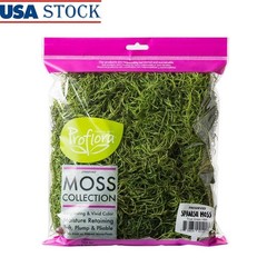 True Green Preserved Spanish Moss Garden Crafting Floral Supplies Pet Friendly