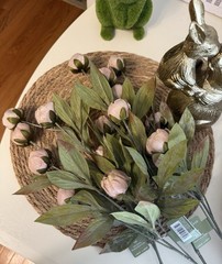28” Viral Tan Peony Ashland Stems, Set Of 4, Michaels, TikTok Flowers