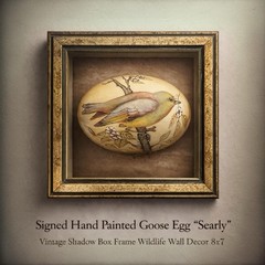 Hand-Painted Goose Egg Art Signed Vintage Bird Wildlife Shadow Box Decor