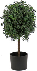 2 Ft Realistic Artificial Boxwood Topiary in Black Pot – Perfect Home Decor