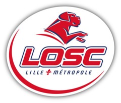 Lille Metropole FC France Soccer Football Car Bumper Sticker Decal 5” x 4”
