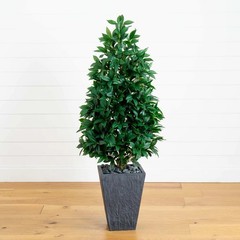57” UV Bay Leaf Cone Topiary Tree in Slate Planter (Indoor/Outdoor)