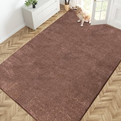 PURRUGS Easy Care Area Rug 6ft x 9ft, Non-Slip Washable Entryway Rug, Stain R…