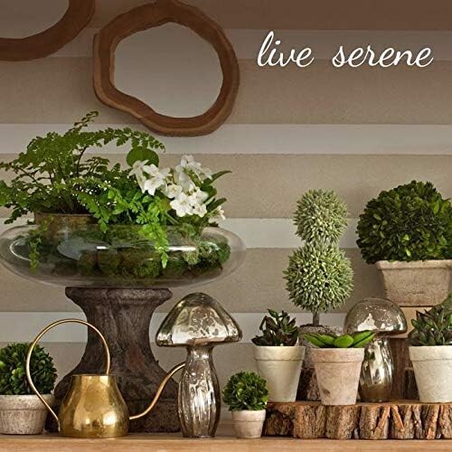 Living Set Of 2 Clear Bottleneck Bulb Glass Vase Vintage Round Flower Vase For C gallery