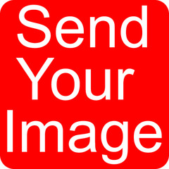 Custom Printed Vinyl Sticker – Send Your Image – Waterproof – sizes Available