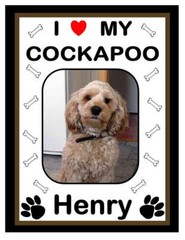 PERSONALIZED COCKAPOO PHOTO MAGNET