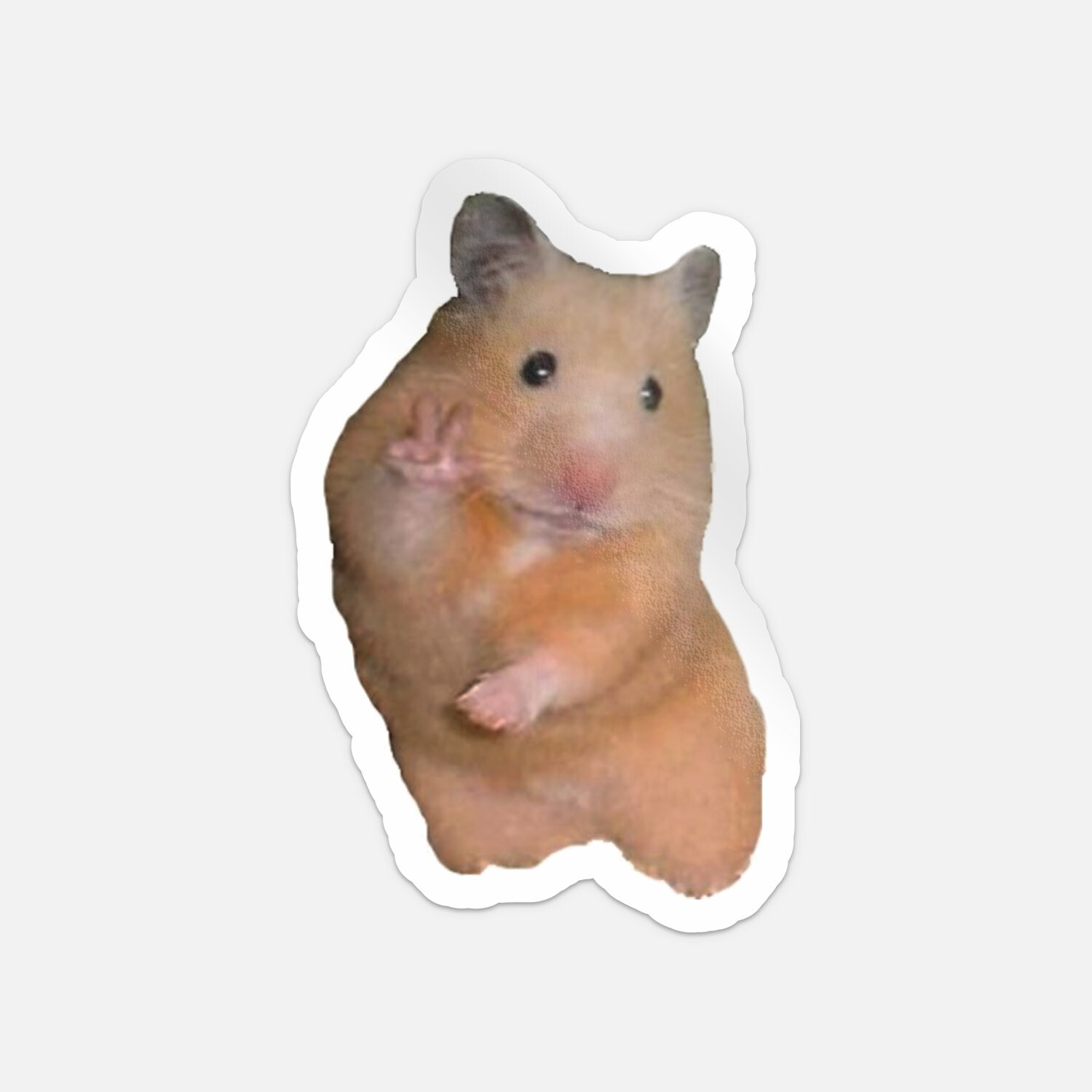 Peace Hamster Meme Car Bumper Vinyl Sticker Decal gallery