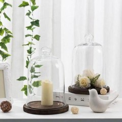 Clear Glass Jar Cloche Dome Display Case with Brown Wood Base, Set of 2
