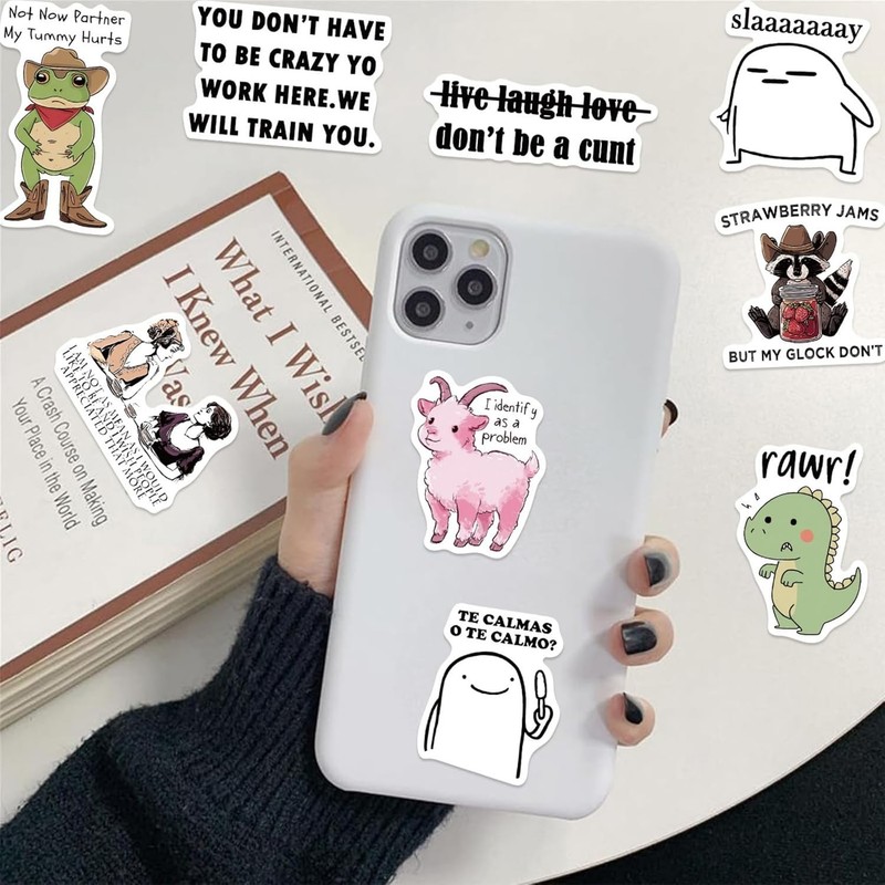 Adult Funny Meme Stickers Vinyl Stickers for Kids Teens Adults 50Pcs Set gallery