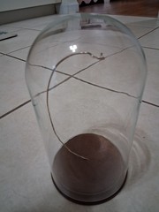 Vintage Wooden Base Clear Glass Dome Display Bell Jar 7” x4″