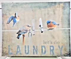 Farmhouse Laundry Room Wall Decor Sign 16×20 Funny Laundry Quote Canvas