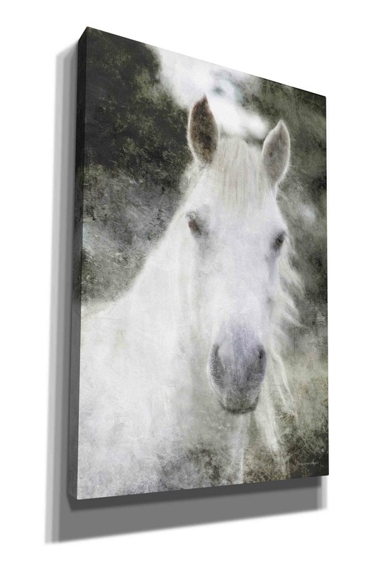 Epic Graffiti 'White Horse Mystique' by Bluebird Barn, Giclee Canvas Wall Art gallery