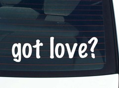 got love? FUNNY VINYL CAR DECAL STICKER FAMILY LAST NAME