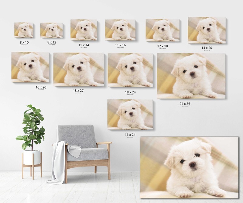 Custom Canvas Printing HD Print Your own Photo on Canvas Framed 1.25" Thickness gallery
