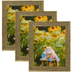 8×10 11×14 Ornate Photo Frame for Picture Poster Real Glass Vertical Horizontal