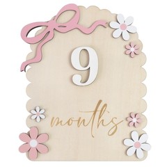 Baby Girl Monthly Milestone Signs, 1-12 Monthly Baby Milestone Girl, Newborn